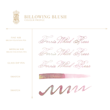 Load image into Gallery viewer, FERRIS WHEEL PRESS INK<br>FerriTales - Billowing Blush 20ml. <br><small>Tvítóna & Glitrandi</small>