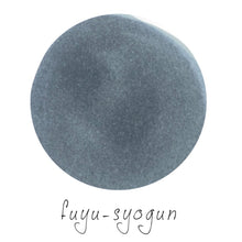 Load image into Gallery viewer, PILOT iroshizuku<br>fuyu-syogun<br><small>6 fyllingar í pakka</small>