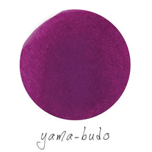 Load image into Gallery viewer, PILOT iroshizuku 50ml<br>yama-budo