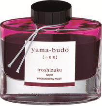 Load image into Gallery viewer, PILOT iroshizuku 50ml<br>yama-budo