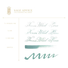 Load image into Gallery viewer, FERRIS WHEEL PRESS INK - CALLIGRAPHY INKS<br>Sage Advice 28ml. <br><small>Vatnshelt & þekjandi</small>